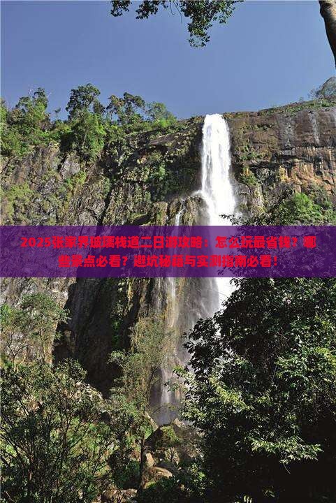 八月去张家界玻璃栈道二日游