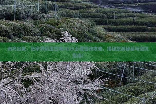南充去张家界凤凰古城旅行社