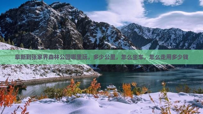 阜新到张家界森林公园哪里玩