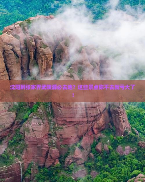 沈阳到张家界武陵源必去地