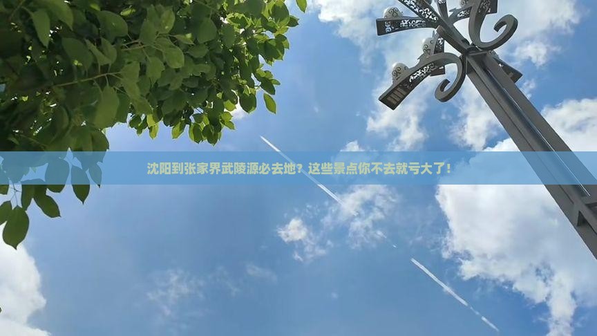 沈阳到张家界武陵源必去地