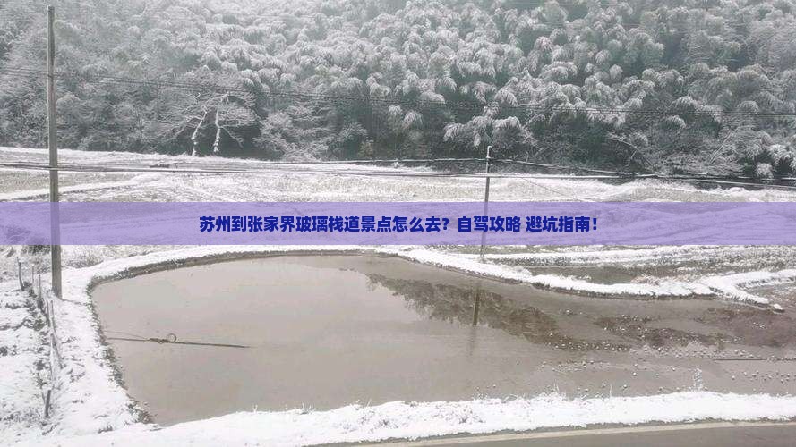 苏州到张家界玻璃栈道景点