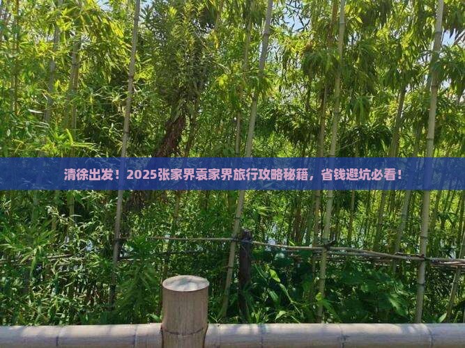 清徐到张家界袁家界旅行社