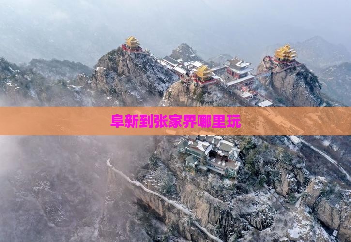阜新到张家界哪里玩