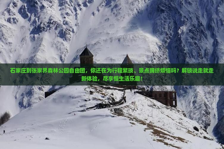 石家庄到张家界森林公园自由团