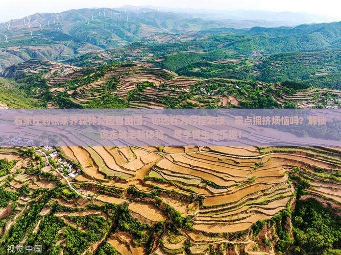 石家庄到张家界森林公园自由团