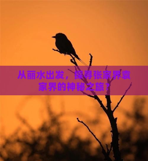 丽水去张家界袁家界旅行社