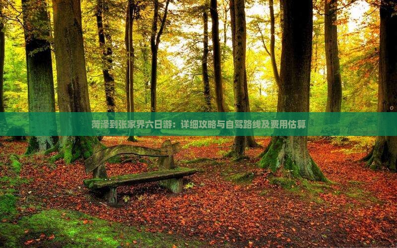 菏泽到张家界六日游