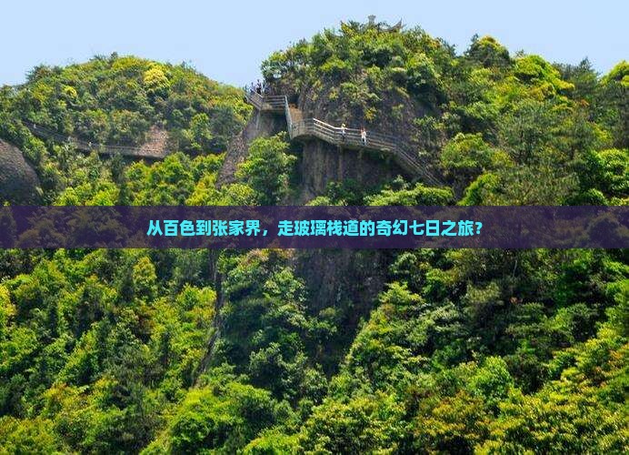 百色到张家界玻璃栈道七日游