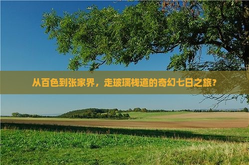 百色到张家界玻璃栈道七日游