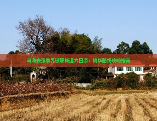 乌海去张家界玻璃栈道六日游