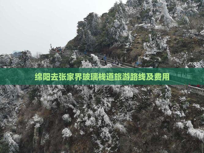 绵阳去张家界玻璃栈道旅游