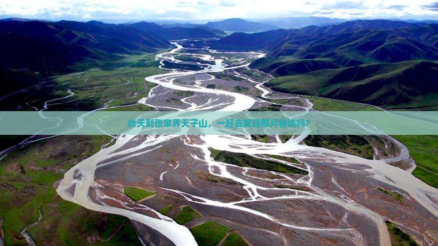秋天到张家界天子山旅行社
