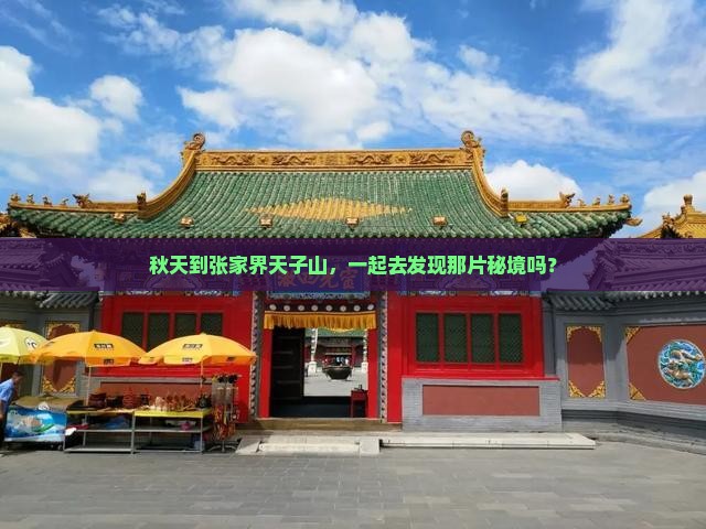 秋天到张家界天子山旅行社