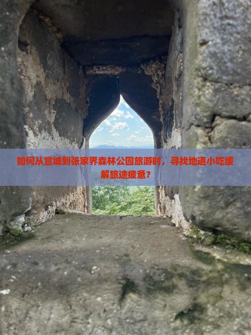宣城到张家界森林公园旅游小吃