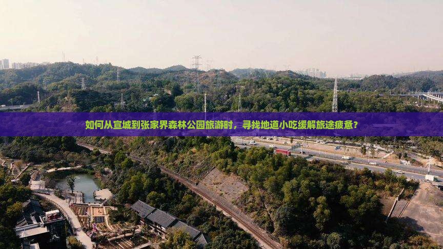 宣城到张家界森林公园旅游小吃