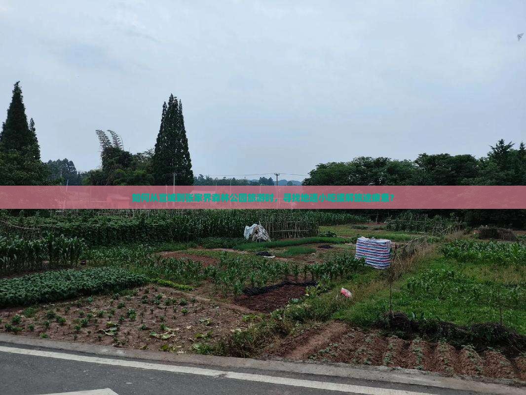 宣城到张家界森林公园旅游小吃