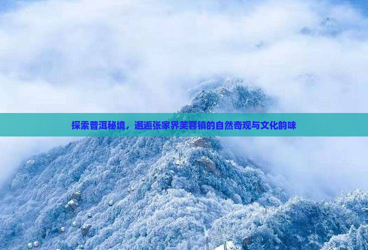 普洱去张家界芙蓉镇旅游