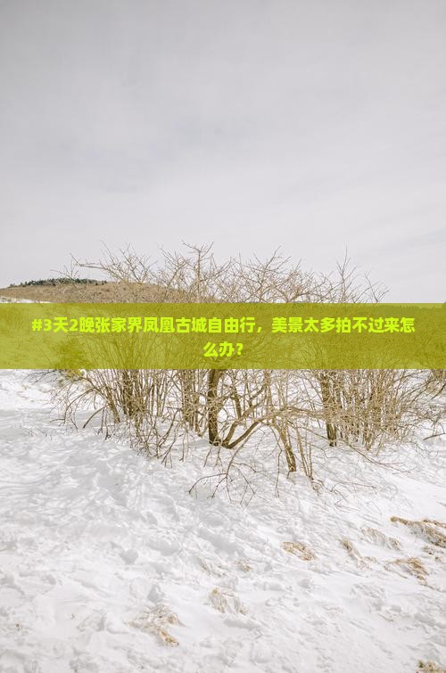 秋天去张家界凤凰古城六日游