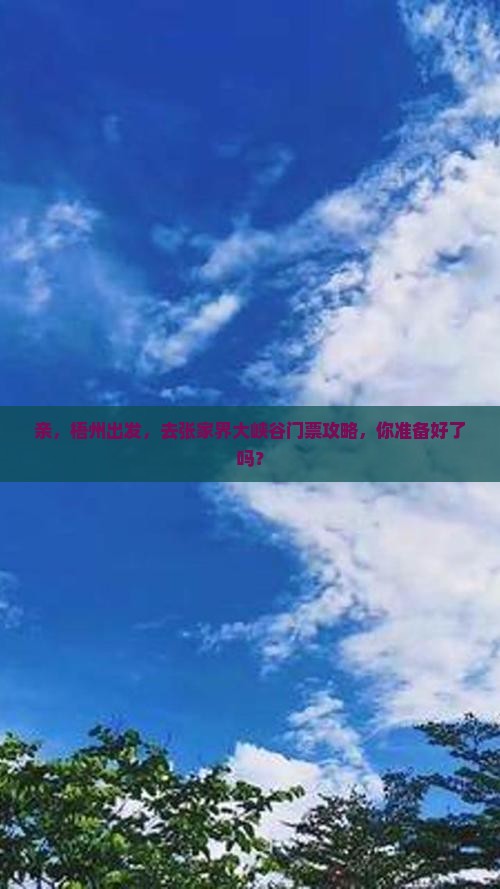 梧州到张家界大峡谷门票