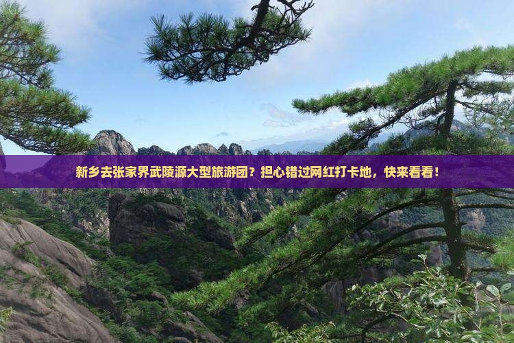 新乡去张家界武陵源大型旅游团