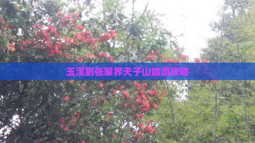 玉溪去张家界天子山一日 玉溪去张家界天子山一日