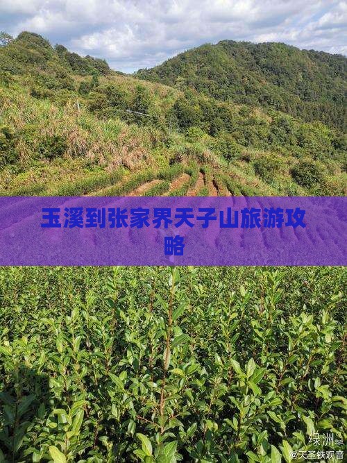 玉溪去张家界天子山一日 玉溪去张家界天子山一日