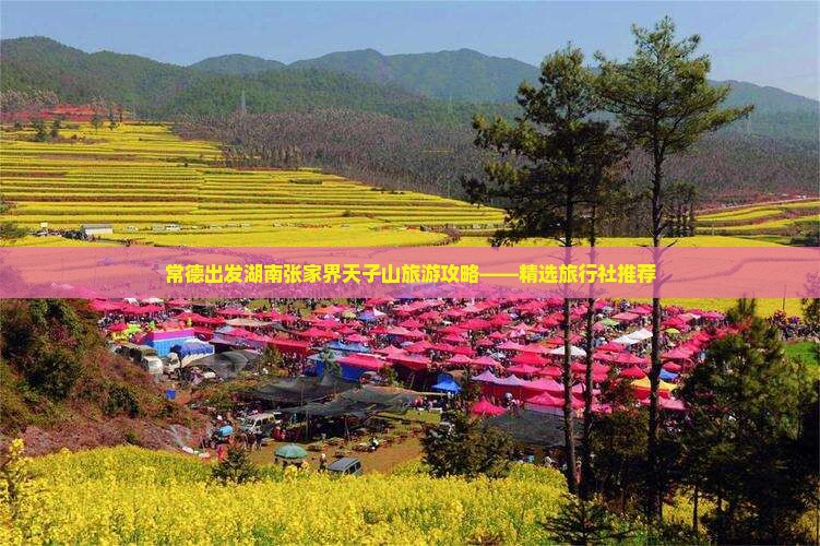 常德到张家界天子山旅行社