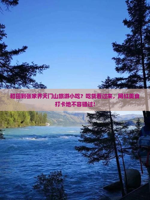 和田到张家界天门山旅游小吃