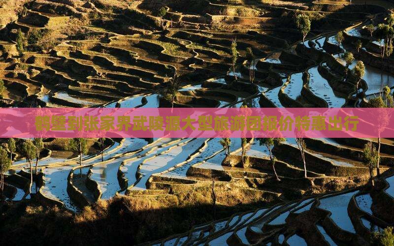 鹤壁到张家界武陵源大型旅游团