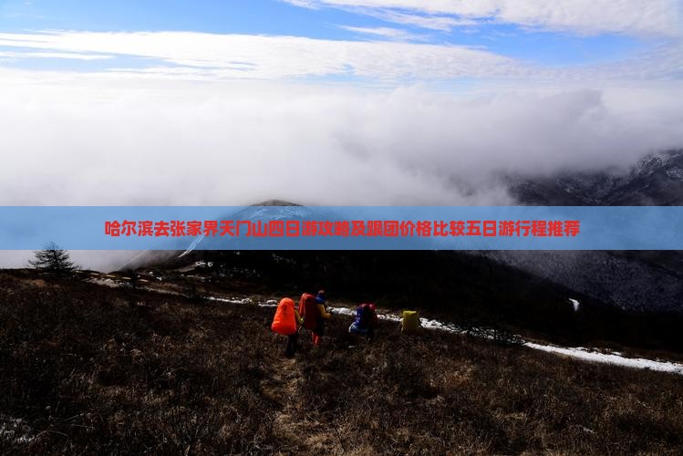 哈尔滨去张家界天门山四日游