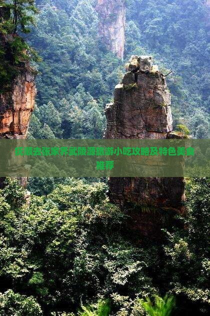 抚顺去张家界武陵源旅游小吃