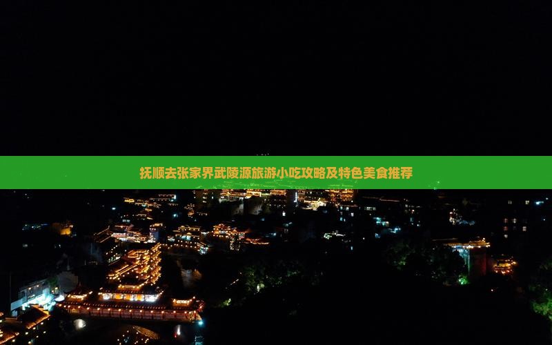 抚顺去张家界武陵源旅游小吃