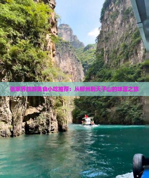 柳州到张家界天子山旅游小吃