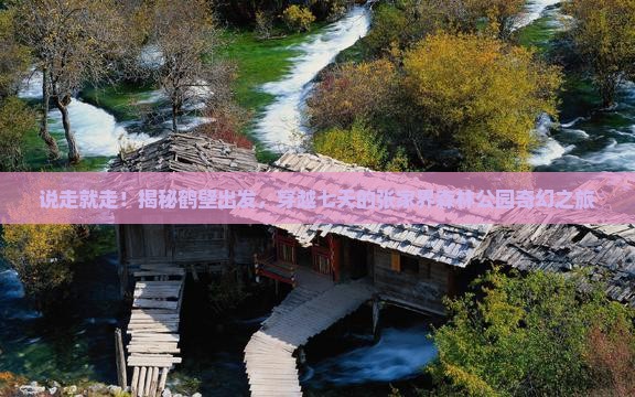 鹤壁到张家界森林公园七日游