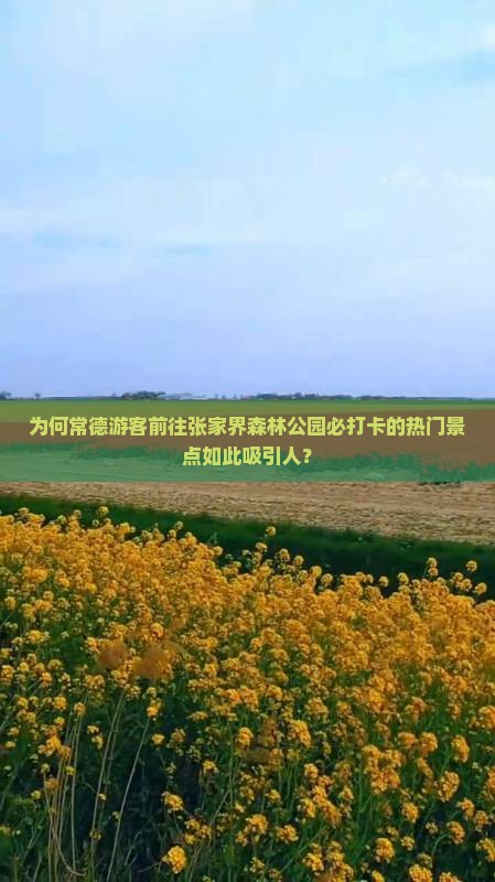 常德到张家界森林公园必去地