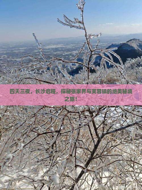 长沙到张家界芙蓉镇四日游