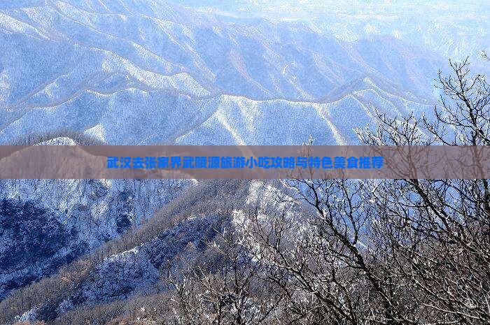 武汉去张家界武陵源旅游小吃