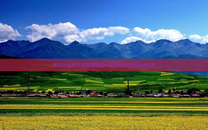 武汉去张家界武陵源旅游小吃