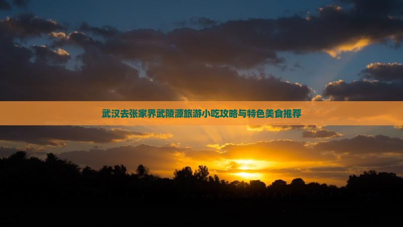 武汉去张家界武陵源旅游小吃
