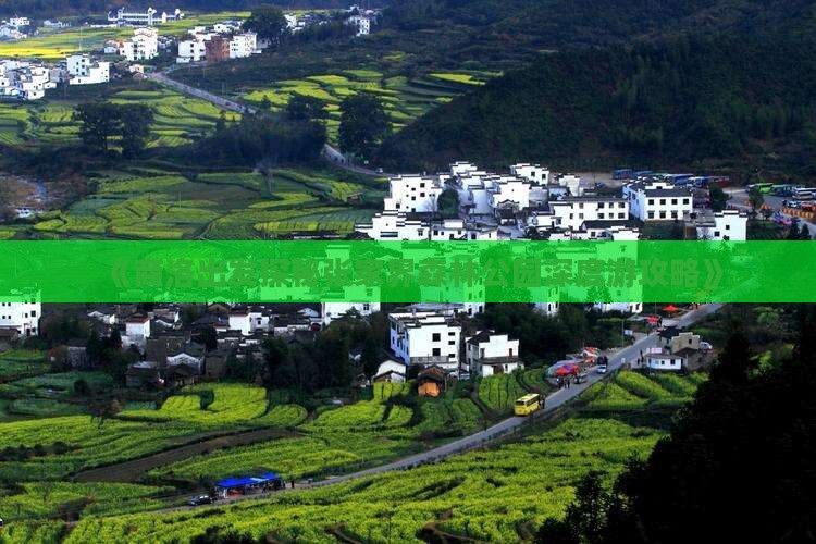 商洛去张家界森林公园个人游