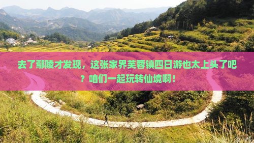 鄢陵县去张家界芙蓉镇四日游