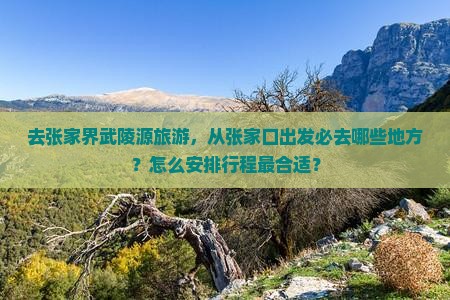 张家口去张家界武陵源必去地 张家口去张家界武陵源必去地