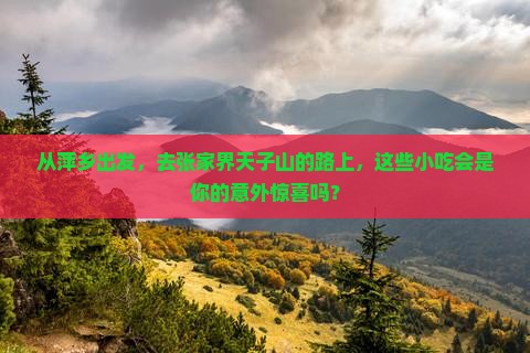 萍乡去张家界天子山旅游小吃