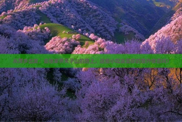 萍乡去张家界天子山旅游小吃