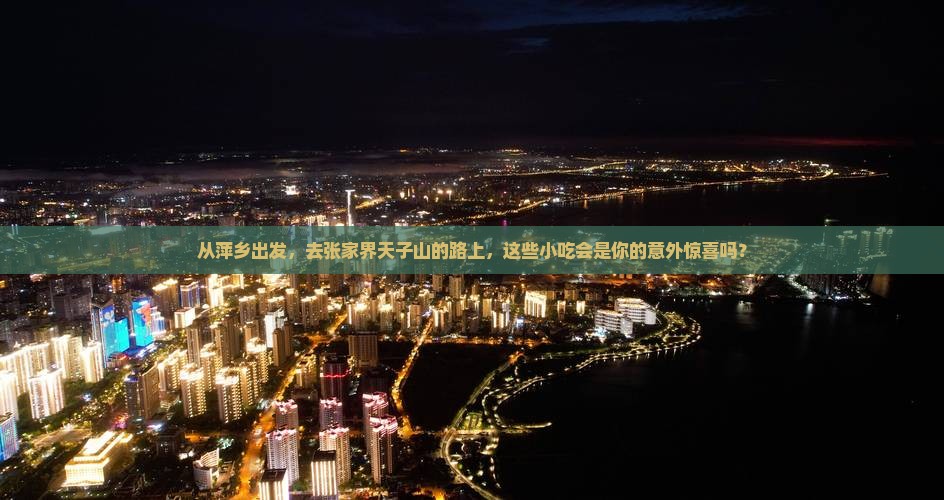 萍乡去张家界天子山旅游小吃