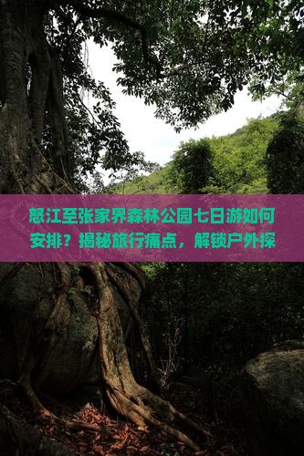 怒江到张家界森林公园七日游