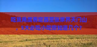 定西去张家界天门山旅游小吃 定西去张家界天门山旅游小吃