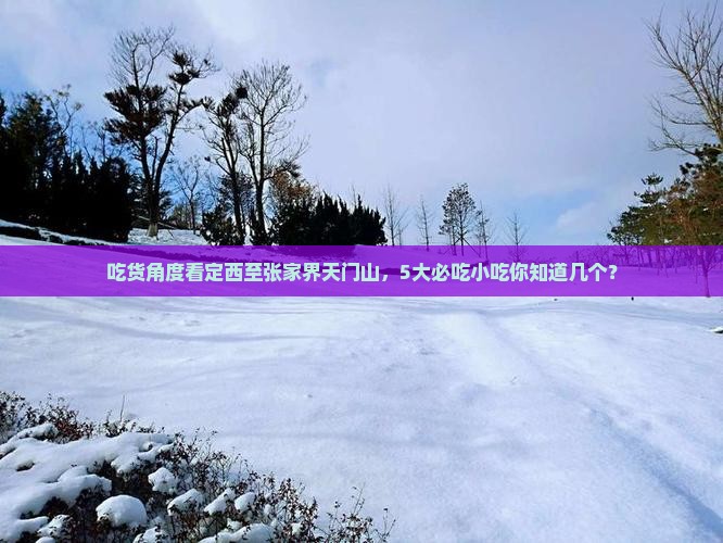 定西去张家界天门山旅游小吃 定西去张家界天门山旅游小吃