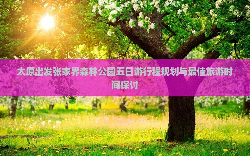 太原到张家界森林公园五日游